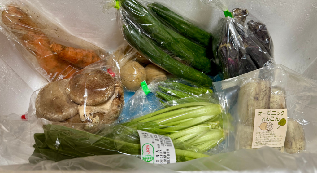 380円の有機野菜おためしセット8品。にんじん・きゅうり・なす・生しいたけ・小松菜・じゃがいも・れんこん